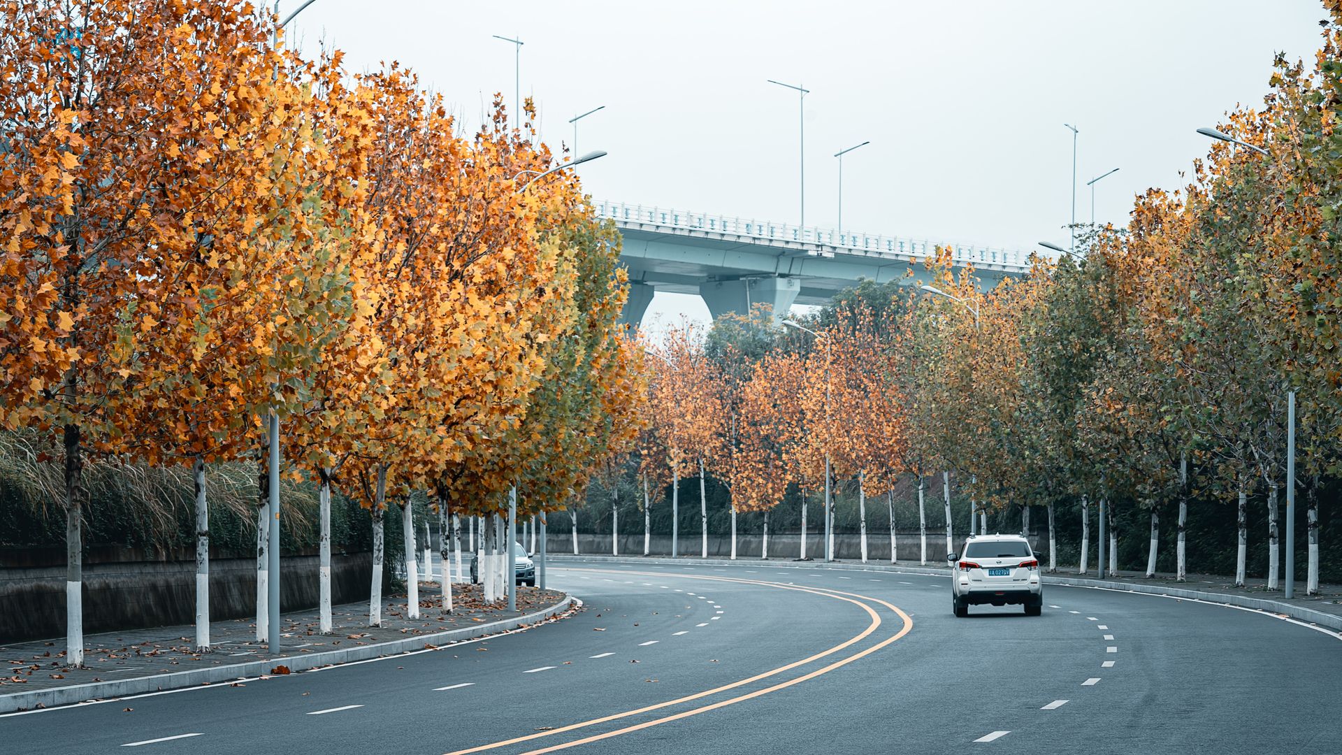 Best Time to Ship Your Car: Seasonal Pricing and Availability